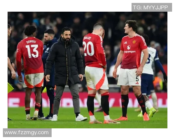 热刺主场迎战埃弗顿正直播精彩对决全场焦点不容错过